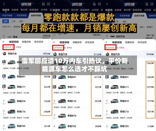雷军回应造10万内车引热议	，平价新能源车怎么选才不踩坑-第1张图片