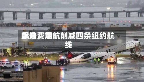 燃油费用飙升	，加航削减四条纽约航线-第1张图片