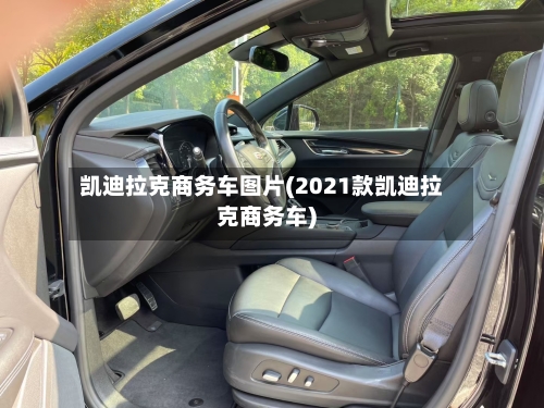 凯迪拉克商务车图片(2021款凯迪拉克商务车)-第1张图片