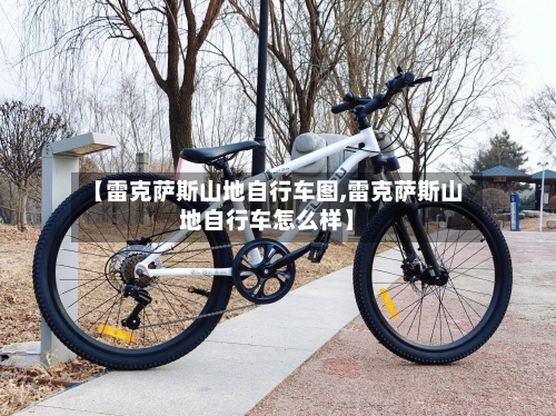 【雷克萨斯山地自行车图,雷克萨斯山地自行车怎么样】-第3张图片