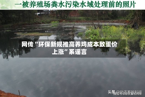 网传“环保新规推高养鸡成本致蛋价上涨”系谣言-第3张图片