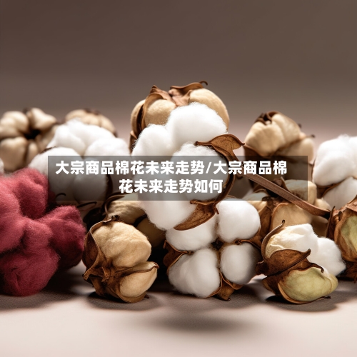 大宗商品棉花未来走势/大宗商品棉花未来走势如何-第3张图片