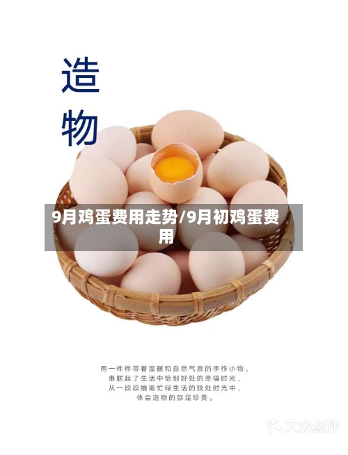 9月鸡蛋费用走势/9月初鸡蛋费用-第1张图片