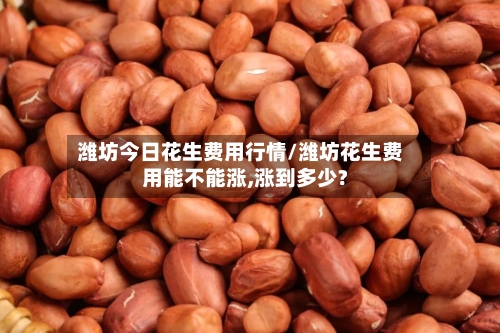潍坊今日花生费用行情/潍坊花生费用能不能涨,涨到多少?-第3张图片