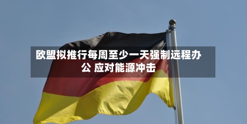 欧盟拟推行每周至少一天强制远程办公 应对能源冲击-第3张图片