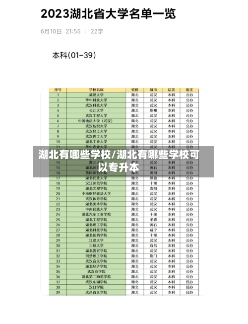 湖北有哪些学校/湖北有哪些学校可以专升本-第1张图片