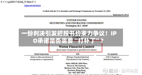 一份判决引发招股书约束力争议！IPO承诺是否需要“打补丁	”？-第3张图片