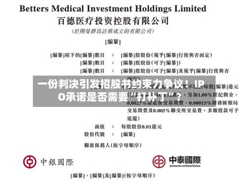 一份判决引发招股书约束力争议！IPO承诺是否需要“打补丁	”？-第1张图片