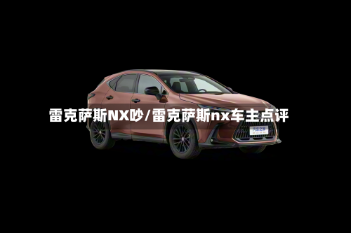 雷克萨斯NX吵/雷克萨斯nx车主点评-第2张图片