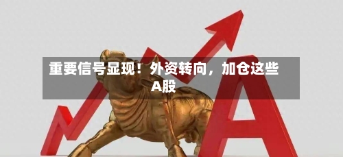 重要信号显现！外资转向，加仓这些A股-第1张图片