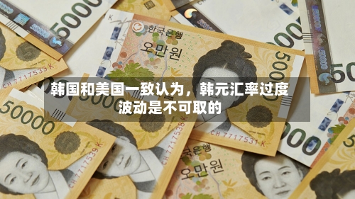 韩国和美国一致认为	，韩元汇率过度波动是不可取的-第1张图片