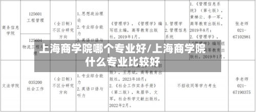 上海商学院哪个专业好/上海商学院什么专业比较好-第2张图片