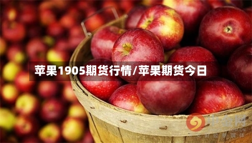 苹果1905期货行情/苹果期货今日-第1张图片