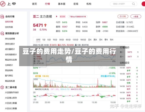 豆子的费用走势/豆子的费用行情-第2张图片