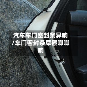汽车车门密封条异响/车门密封条摩擦唧唧响-第2张图片