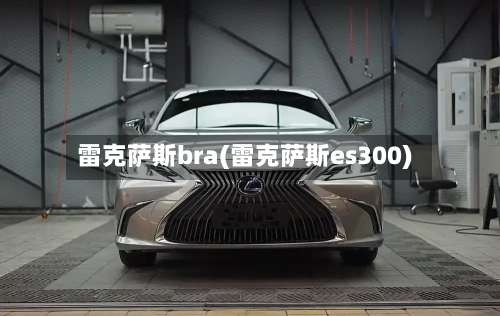 雷克萨斯bra(雷克萨斯es300)-第1张图片