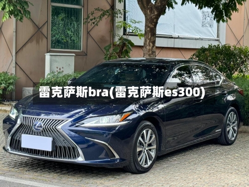 雷克萨斯bra(雷克萨斯es300)-第3张图片