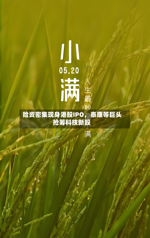 险资密集现身港股IPO	，泰康等巨头抢筹科技新股-第1张图片