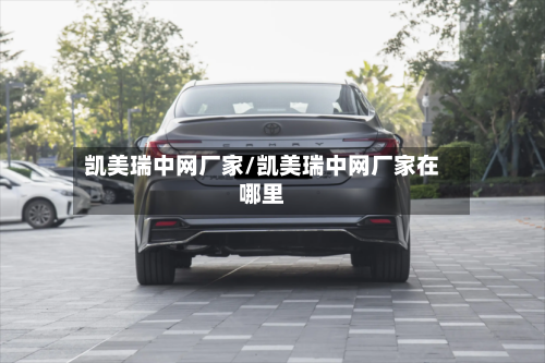 凯美瑞中网厂家/凯美瑞中网厂家在哪里-第3张图片