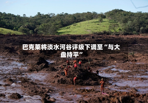 巴克莱将淡水河谷评级下调至“与大盘持平	”-第2张图片