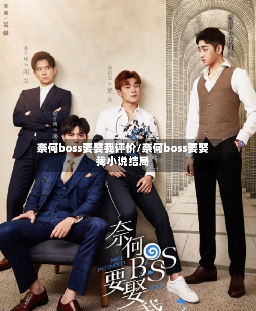 奈何boss要娶我评价/奈何boss要娶我小说结局-第2张图片