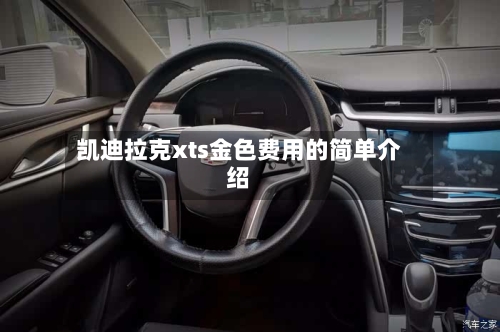凯迪拉克xts金色费用的简单介绍-第2张图片