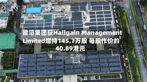 建滔集团获Hallgain Management Limited增持145.7万股 每股作价约40.89港元-第1张图片