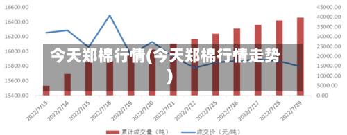 今天郑棉行情(今天郑棉行情走势)-第1张图片
