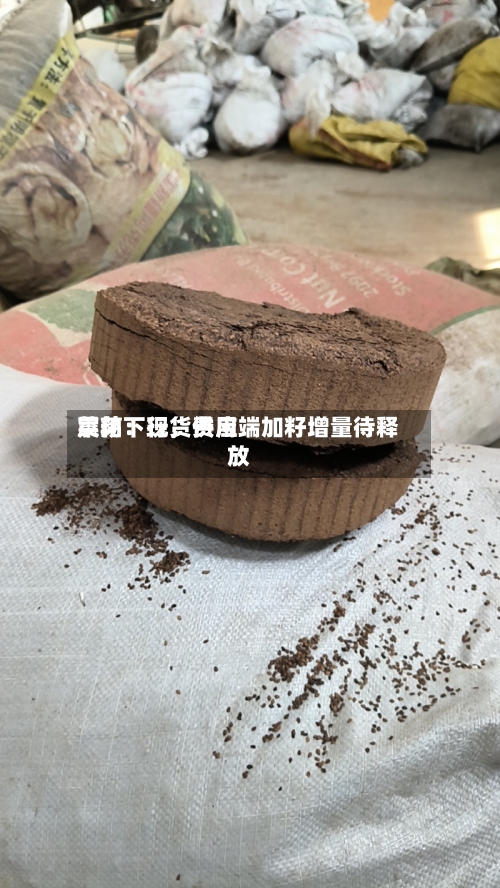 菜粕：现货费用震荡下行，供应端加籽增量待释放-第1张图片