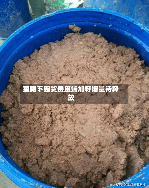 菜粕：现货费用震荡下行，供应端加籽增量待释放-第3张图片