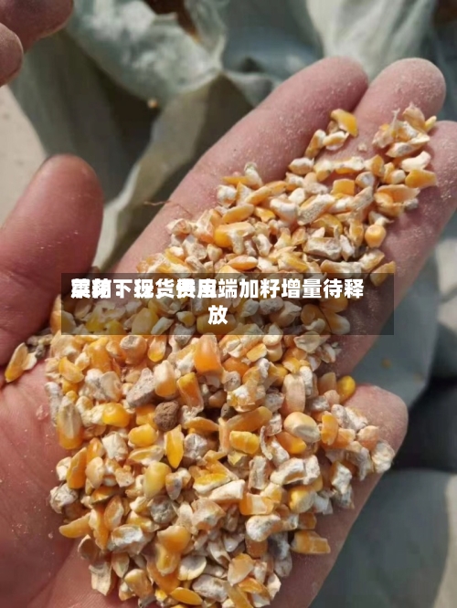 菜粕：现货费用震荡下行	，供应端加籽增量待释放-第2张图片