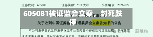 605081被证监会立案，封死跌停-第1张图片