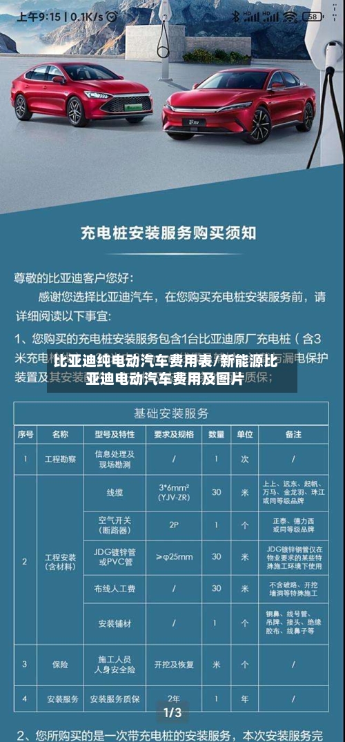 比亚迪纯电动汽车费用表/新能源比亚迪电动汽车费用及图片-第3张图片