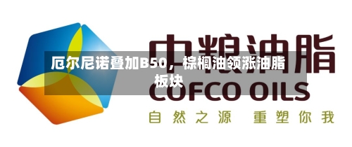 厄尔尼诺叠加B50	，棕榈油领涨油脂板块-第2张图片