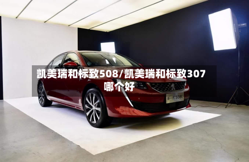 凯美瑞和标致508/凯美瑞和标致307哪个好-第2张图片