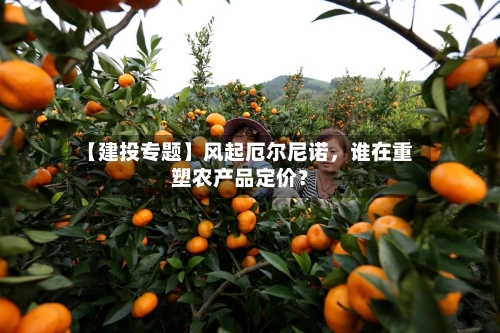 【建投专题】风起厄尔尼诺	，谁在重塑农产品定价？-第1张图片