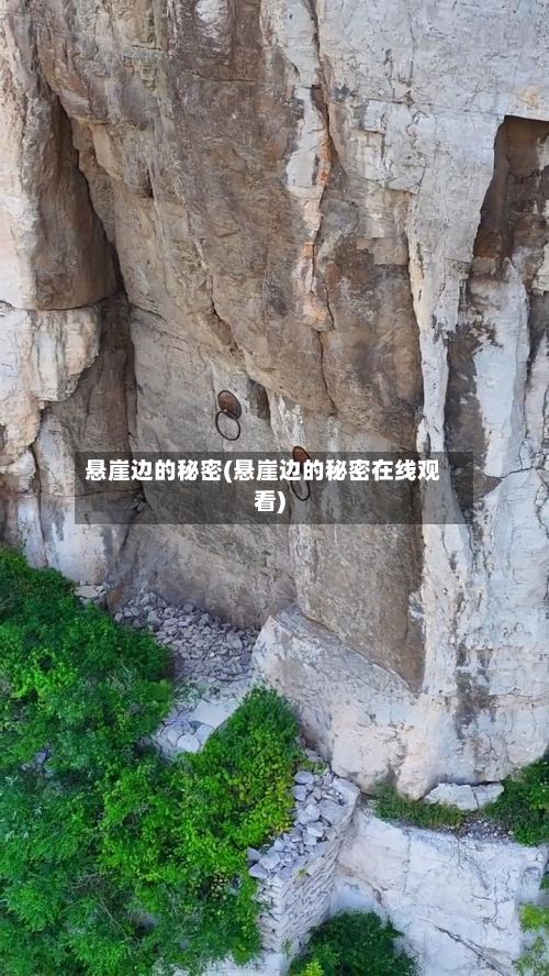 悬崖边的秘密(悬崖边的秘密在线观看)-第1张图片