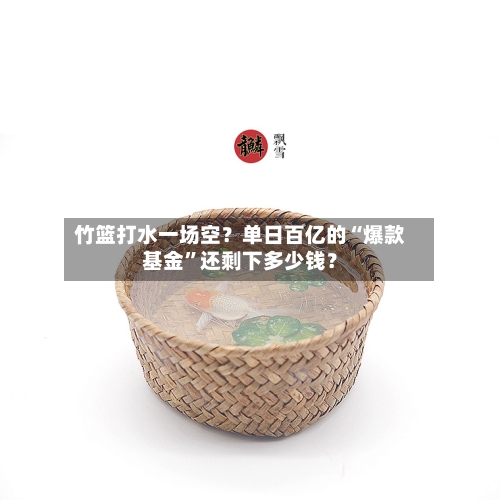 竹篮打水一场空？单日百亿的“爆款基金”还剩下多少钱？-第1张图片