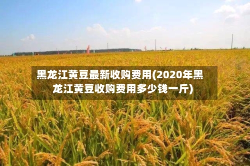 黑龙江黄豆最新收购费用(2020年黑龙江黄豆收购费用多少钱一斤)-第1张图片