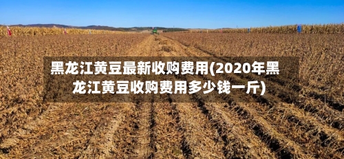 黑龙江黄豆最新收购费用(2020年黑龙江黄豆收购费用多少钱一斤)-第2张图片