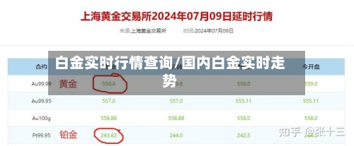 白金实时行情查询/国内白金实时走势-第1张图片
