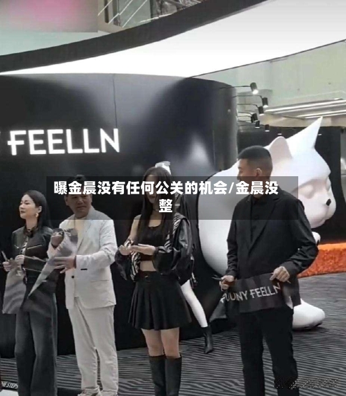 曝金晨没有任何公关的机会/金晨没整-第2张图片