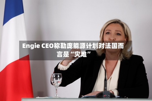 Engie CEO称勒庞能源计划对法国而言是“灾难”-第3张图片