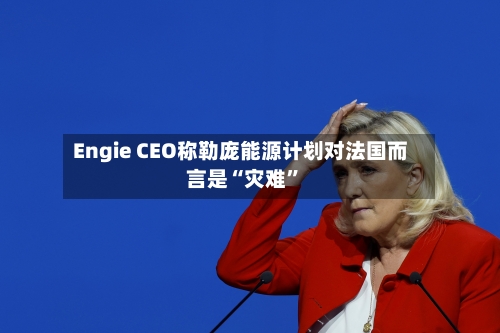 Engie CEO称勒庞能源计划对法国而言是“灾难”-第1张图片