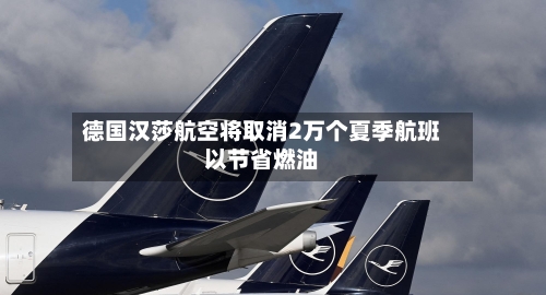 德国汉莎航空将取消2万个夏季航班以节省燃油-第2张图片
