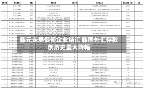 韩元走弱促使企业结汇 韩国外汇存款创历史最大降幅-第1张图片