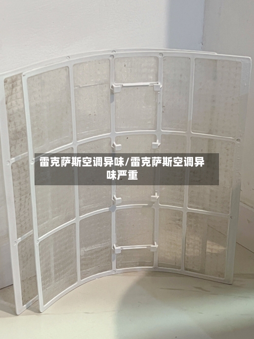 雷克萨斯空调异味/雷克萨斯空调异味严重-第1张图片