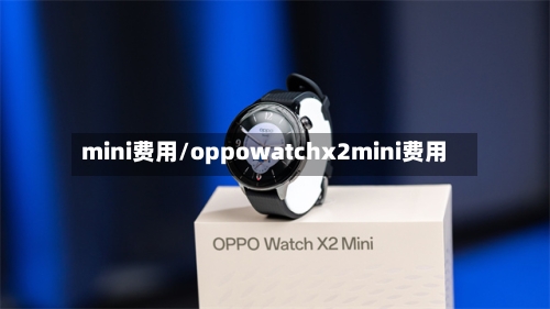 mini费用/oppowatchx2mini费用-第2张图片