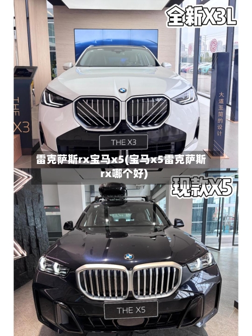 雷克萨斯rx宝马x5(宝马x5雷克萨斯rx哪个好)-第2张图片