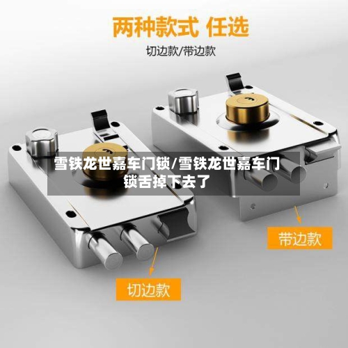 雪铁龙世嘉车门锁/雪铁龙世嘉车门锁舌掉下去了-第2张图片